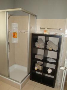 ein Badezimmer mit einer Dusche und einem Regal mit Handtüchern in der Unterkunft Casa Lucini in Campascio