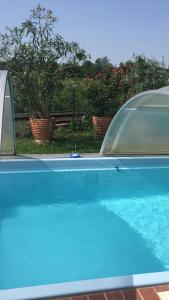 a close up of a blue swimming pool at Blaues Haus in Niederdorfelden
