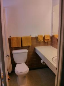 een badkamer met een toilet en een wastafel bij Shamrock Motel in Valleyview