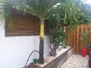 Zahrada ubytování Villa k'nel