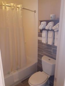 La salle de bains est pourvue de toilettes, d'une douche et de serviettes. dans l'établissement Rochester Inn, à Rochester