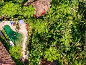 Bazén v ubytování Sarinbuana Eco Lodge nebo v jeho okolí