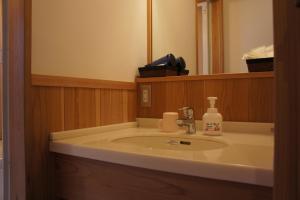 a bathroom sink with a bottle of soap on it at Sumiyoshiya in Kanazawa