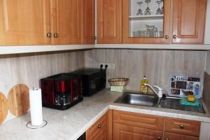 a kitchen with a sink and a microwave at Ferienhaus Frado in Briesen