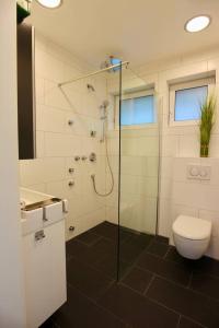 a bathroom with a shower and a toilet and a sink at Porschenahe Wohung in Stuttgart