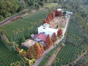 an aerial view of a house in a field at 朵麗絲森林 in Meishan
