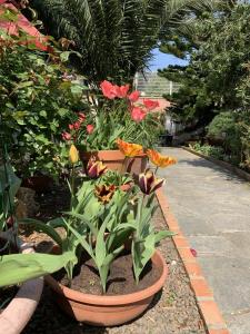 Vonkajšia záhrada v ubytovaní Resort Dependance di Villa Rosa Maria
