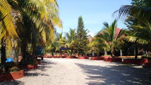 uma estrada de terra com palmeiras num resort em Hotel y Parque Turístico Navar City em Villavicencio