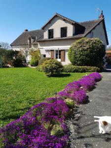 un gato yaciendo junto a flores púrpuras frente a una casa en Chambres D'hôtes Anne-Marie, en Châtillon-sur-Indre