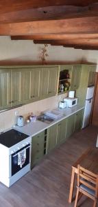 アフィオナスにあるAnemosのキッチン(緑のキャビネット、シンク、コンロ付)