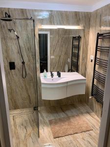 a bathroom with a sink and a shower at Casa ABA in Sibiu +29 photos