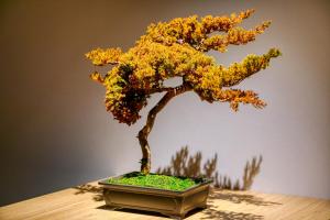 uma pequena árvore bonsai sentada em cima de uma mesa em Hotel Lotus Koiwa (Adult Only) em Tóquio