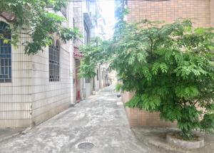 an alley with a tree in the middle of a street at March Garden next to the Furniture Market in Shunde