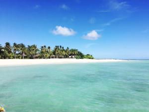 a beach with palm trees and the ocean at Gardenia House Rent Rooms in Bantayan Island
