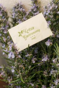 a sign on a bunch of purple flowers at Gastronomy Hotel Kritsa in Portaria
