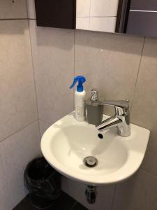a bathroom sink with a soap dispenser on top of it at Victoria Hotel in Kharkiv