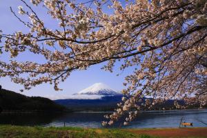 Galeriebild der Unterkunft Manten-no-Hoshi in Hakone