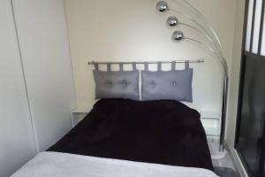a bed with two blue pillows in a room at Maisonnette à 100 M de Tarbes sud in Laloubère