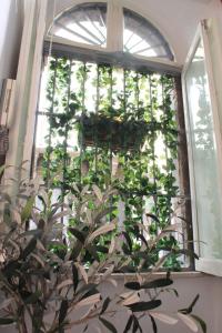 a window with a potted plant in front of it at Little Sicily in Catania
