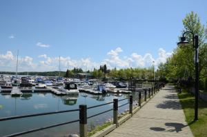 un puerto deportivo con muchos barcos en el agua en Holiday Inn Express & Suites Cold Lake, an IHG Hotel, en Cold Lake