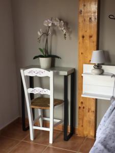 d'une table et d'une chaise avec une plante. dans l'établissement El Carro del Abuelo, à Villovela de Pirón