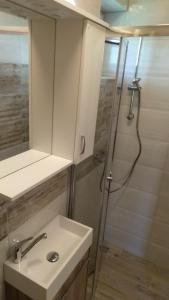 La salle de bains est pourvue d'une douche, d'un lavabo et d'un miroir. dans l'établissement Apartma Golob, à Zgornja Kungota