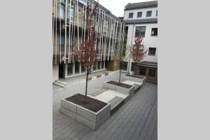 two trees in a courtyard in front of a building at Central, Modern, mit großem Balkon Checkin123 in Wiesbaden