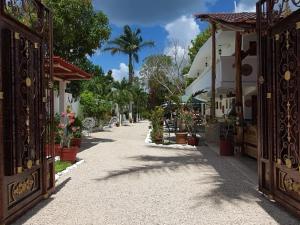 een lege straat met een bos van planten en gebouwen bij Hotel Casa Lima Bacalar in Bacalar