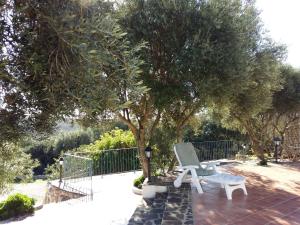 a white chair sitting on a patio under a tree at Sa Ruscitta in SantʼAntìoco