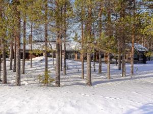 TikkalaにあるHoliday Home Villa tunturi by Interhomeの雪の群木