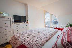 a bedroom with a bed and a dresser with a tv at Apartment Via Mons in Kranjska Gora +24 photos