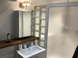 a bathroom with a sink and a mirror and a shower at Appartement Médicis avec Garage in Honfleur