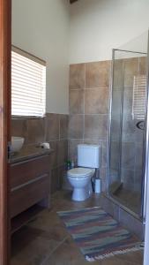 uma casa de banho com um WC e uma cabina de duche em vidro. em Oubaai Ocean View Private Self catering rooms Herolds Bay em George