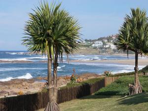 dos palmeras en la playa cerca del océano en Southern Comfort - Starfish, en Margate