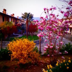 Zahrada ubytování Cascina CORTEPRIMAVERA, B&B del Baliot