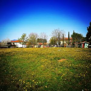 Fotografie z fotogalerie ubytování Cascina CORTEPRIMAVERA, B&B del Baliot v destinaci Passirano