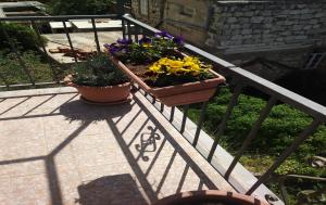 Fotografie z fotogalerie ubytování Apartment Brezak v destinaci Lastovo