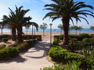 une passerelle avec des palmiers et la plage dans l'établissement MIRAMAR 2B, à Roses