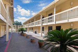 a courtyard of a building with palm trees and potted plants at La Quinta Inn by Wyndham San Antonio I-35 N at Rittiman Rd in San Antonio