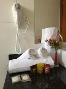 Afbeelding uit fotogalerij van Accord Hotel in Castanhal