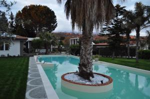 a palm tree in the middle of a pool at Agrihotel Croce Vallone in Biancavilla