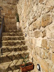 Una pianta in un vaso vicino a un muro di pietra di Porolithos Boutique Hotel a Città di Rodi