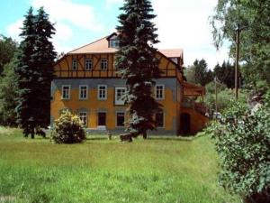 una casa grande con un perro delante en Apartment in a villa with park in Gro schirma, en Großschirma