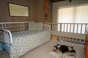 1 dormitorio con 1 cama y 1 gato en el suelo en Sierra Park Villas #24 en Mammoth Lakes