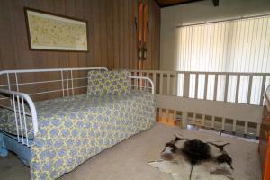 a bedroom with a bed and a cat laying on the floor at Sierra Park Villas #24 in Mammoth Lakes