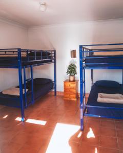 two bunk beds in a small room at Budds In Surfers Backpackers in Gold Coast