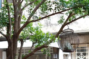 a bird cage hanging from a tree at My Way House 好巷一弄民宿 in Tainan