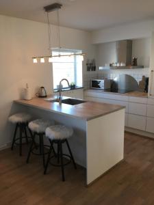 Skagen New City Apartments 1Dにあるキッチンまたは簡易キッチン