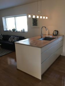 Skagen New City Apartments 1Dにあるキッチンまたは簡易キッチン