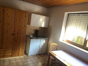 eine Küche mit einem kleinen Kühlschrank und einem Fenster in der Unterkunft 1 Zimmer Apartment 22 qm Neustadt-Duttweiler in Neustadt an der Weinstraße